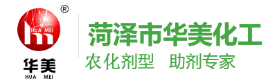 中億盛嘉